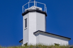 Cattle Point Eagle (1)