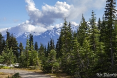 Hurricane Ridge (2)