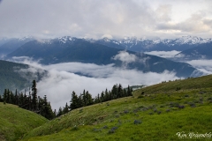 Hurricane Ridge (6)