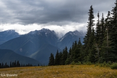 Hurricane Ridge (4)