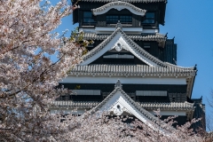 Kumamoto Castle (1)