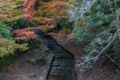 Miyajima (1)