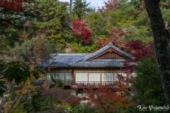 Miyajima (2)