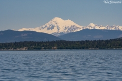 Mount Baker (1)