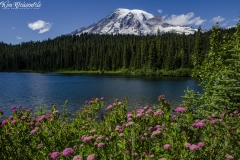 Mt. Rainier (1)