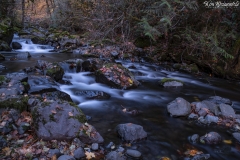 Rocky Brook (1)