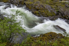 Salmon Cascades (1)