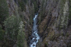 Skokomish River (1)