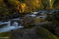 Sol Duc River (1)