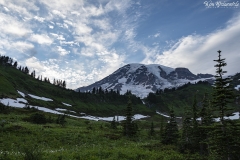 Rainier (6)